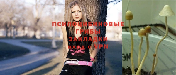 гидра Баксан