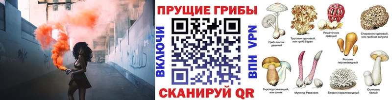 Галлюциногенные грибы MAGIC MUSHROOMS Нерюнгри