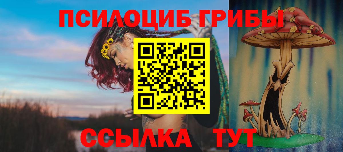 купить наркотики сайты  Вход с VPN  Нерюнгри  Псилоцибиновые грибы MAGIC MUSHROOMS 