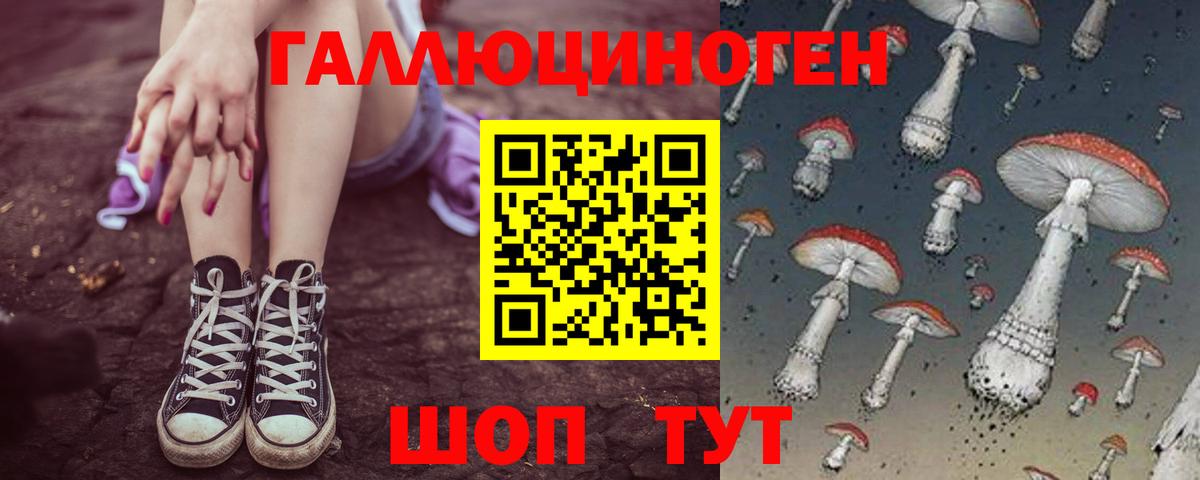 Галлюциногенные грибы Psilocybine cubensis Нерюнгри